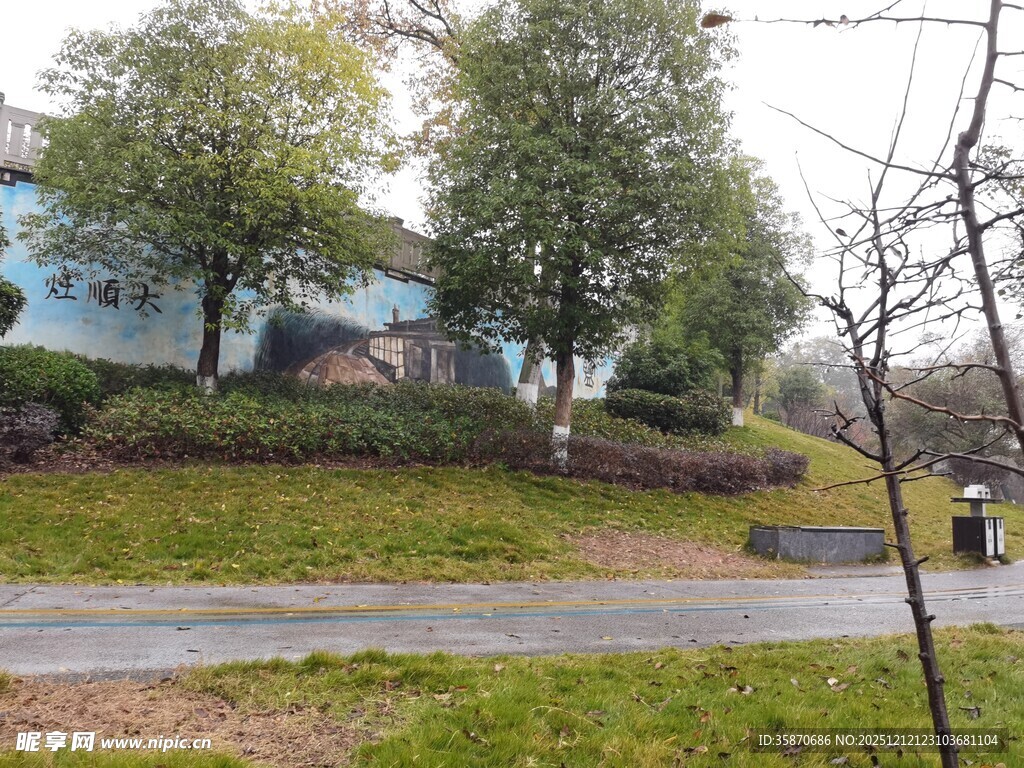 雨后清新的户外景致