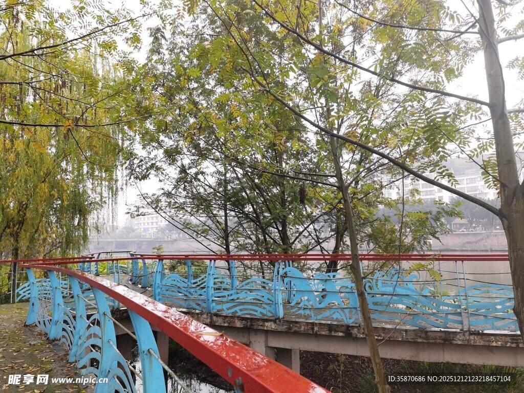 河边彩色围栏旁的树木