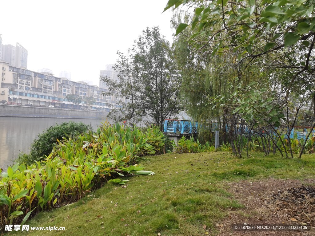 河畔绿植景观