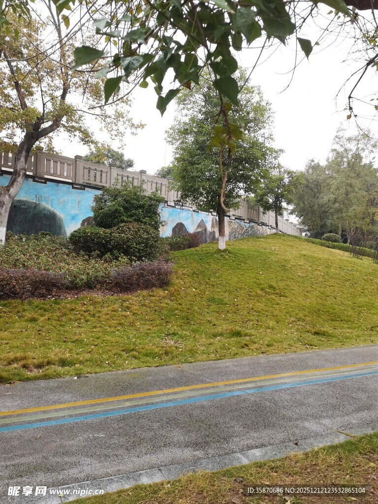 雨后公园的清新景致