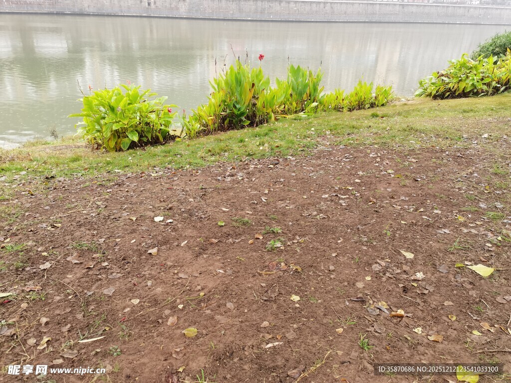 岸边绿植旁的裸露土地