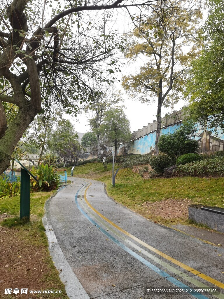 林间蜿蜒小路自然景致