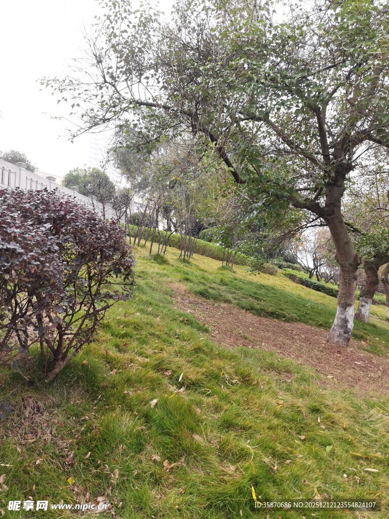 公园绿意盎然的小径景观