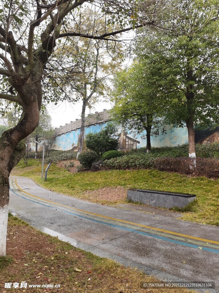 雨后校园小径风景