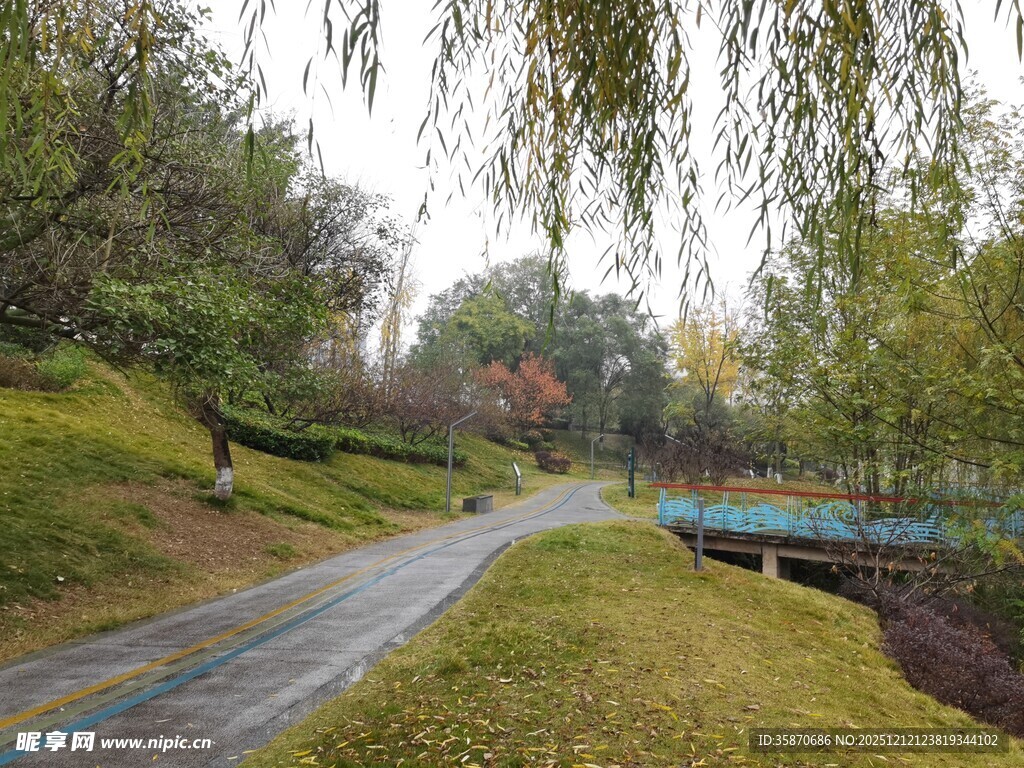 林间漫步道自然好风光