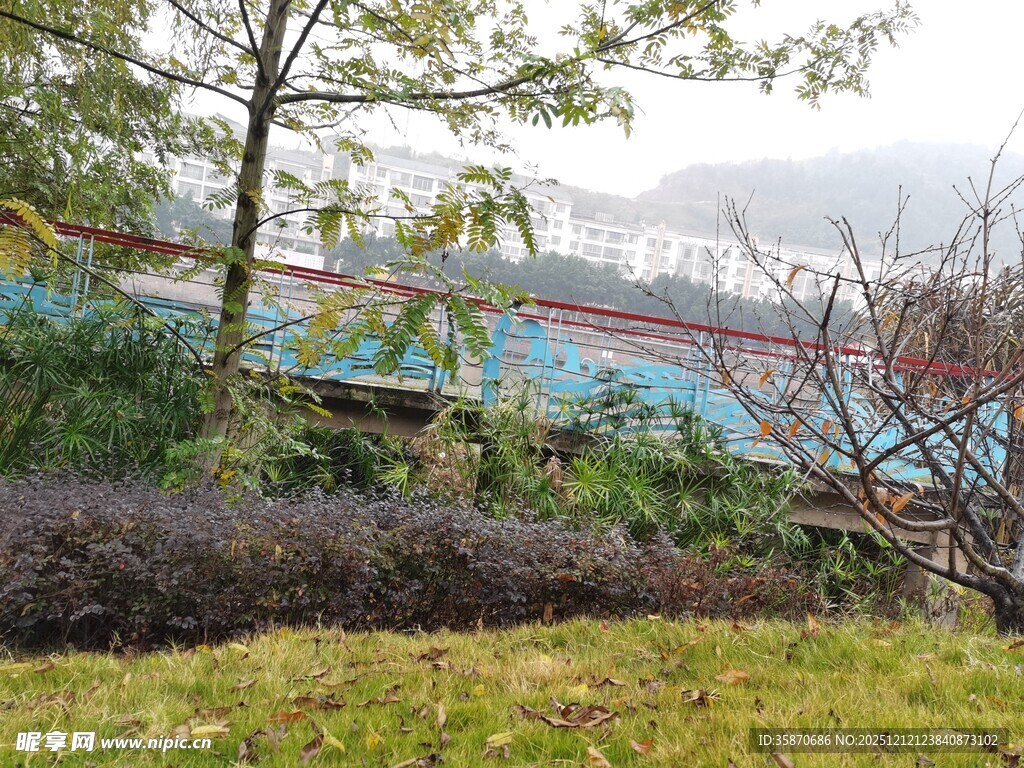 户外绿植与多彩建筑景观