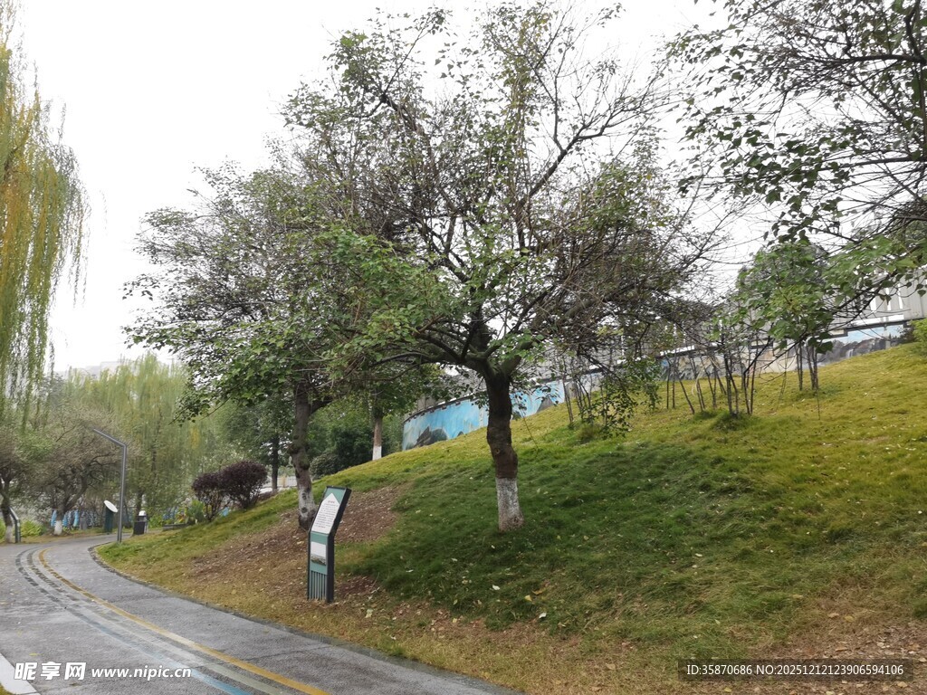 公园中漫步的行人与绿树