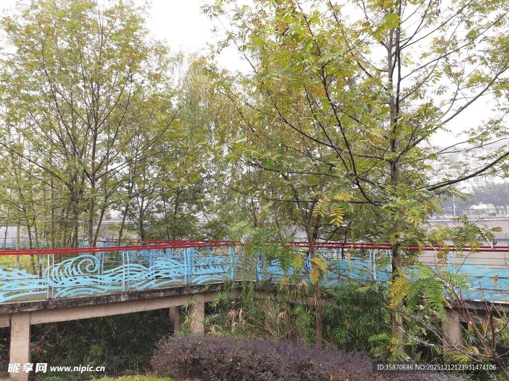 户外木桥旁的绿植景观