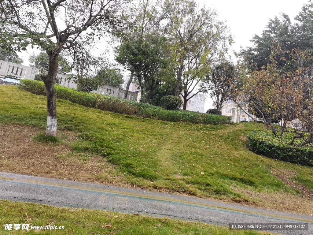 郊外小路旁的绿意景致