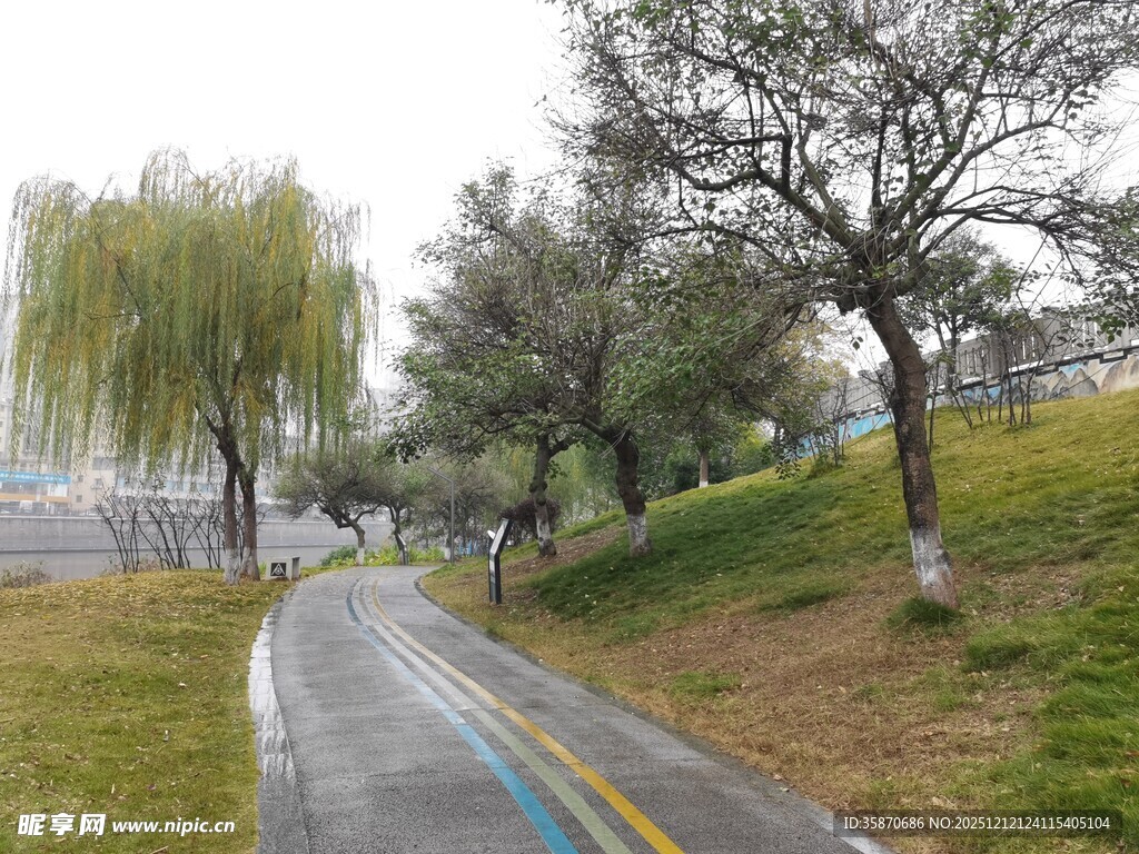 雨后公园小路风景