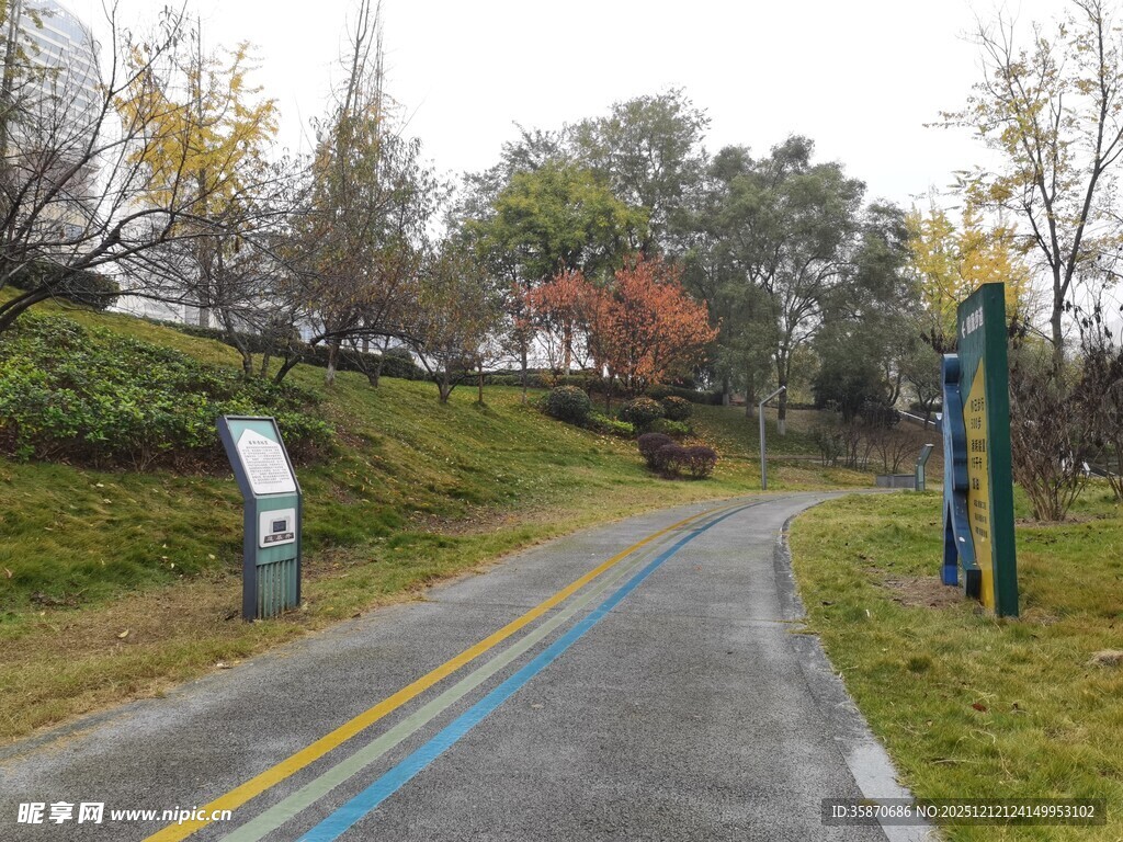 秋日林间彩色标线小路