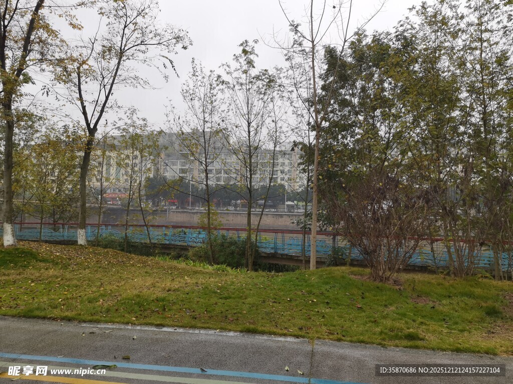 城市路边树木与围栏景观