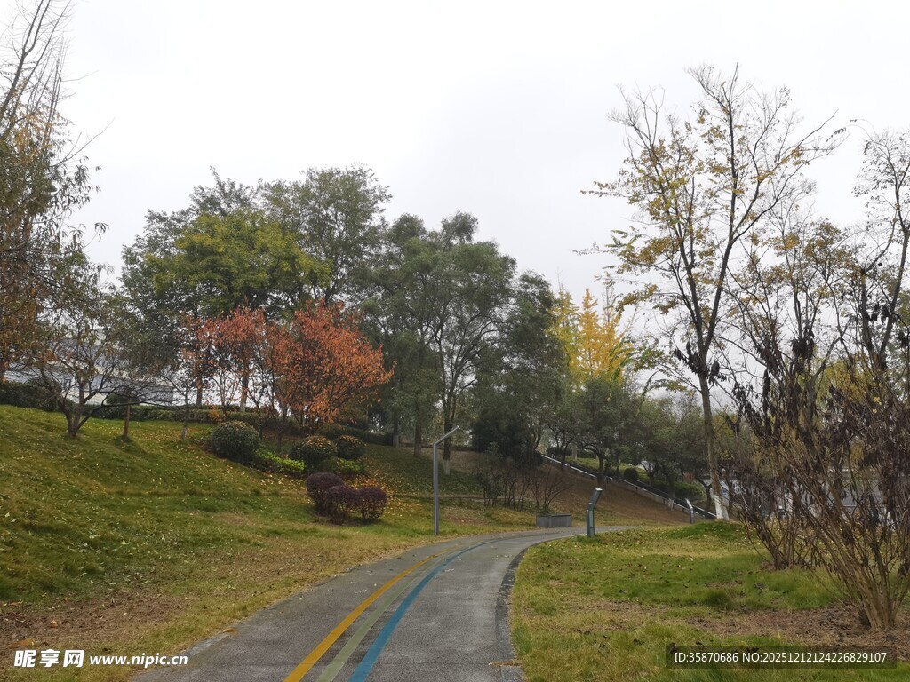 秋日蜿蜒小路的自然景致