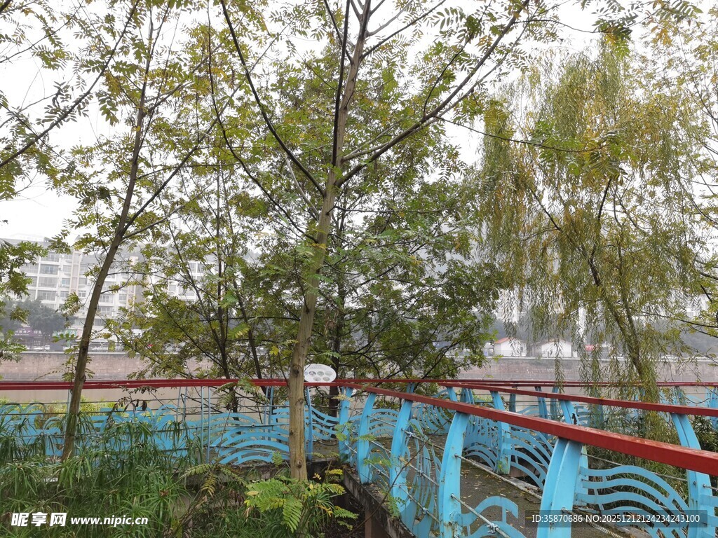 蓝桥旁绿树环绕的景致