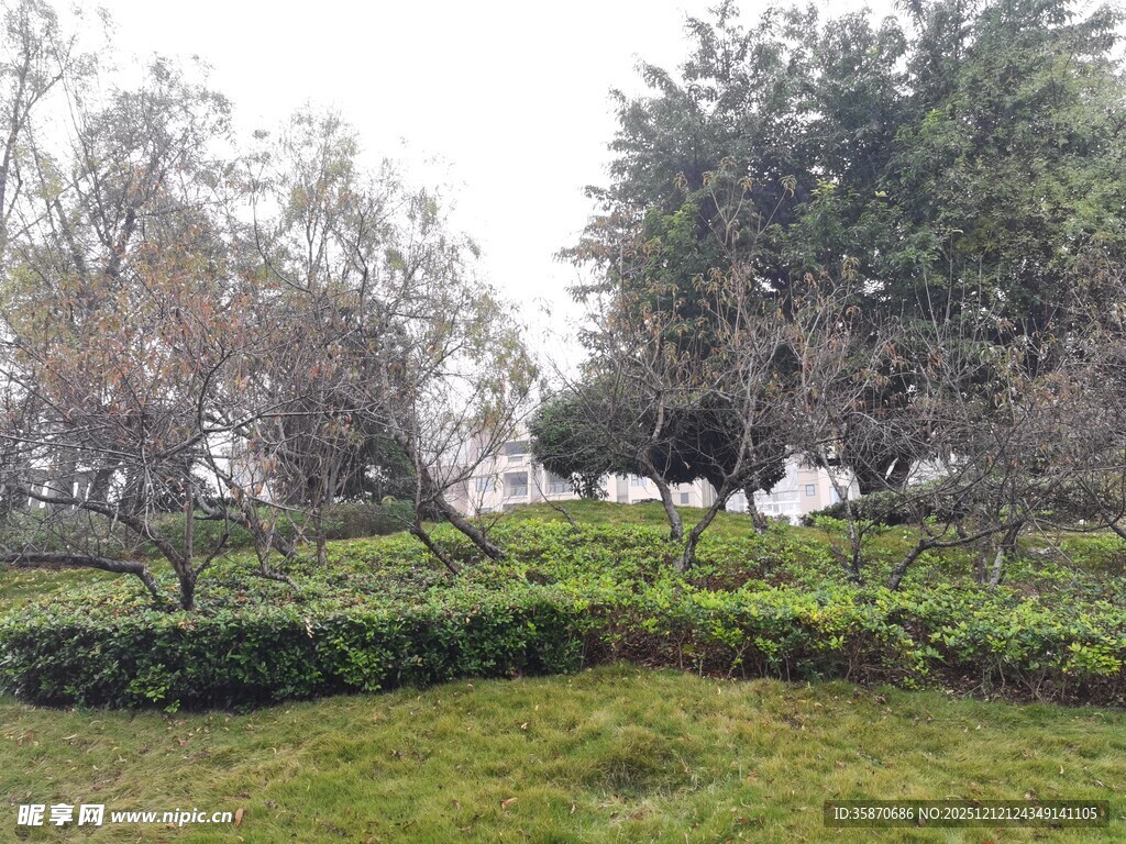 户外绿意盎然的园林景致