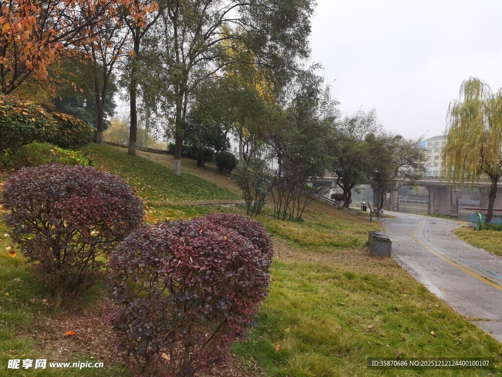 城市公园中的绿植景观