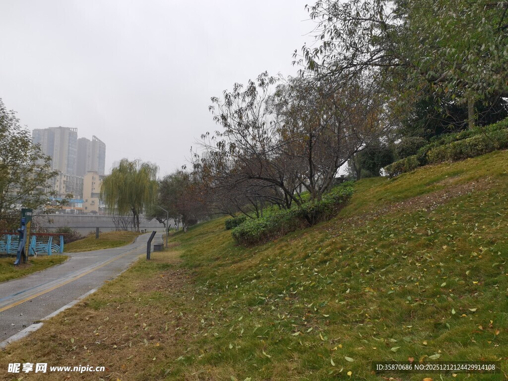 城市中宁静的草地小路