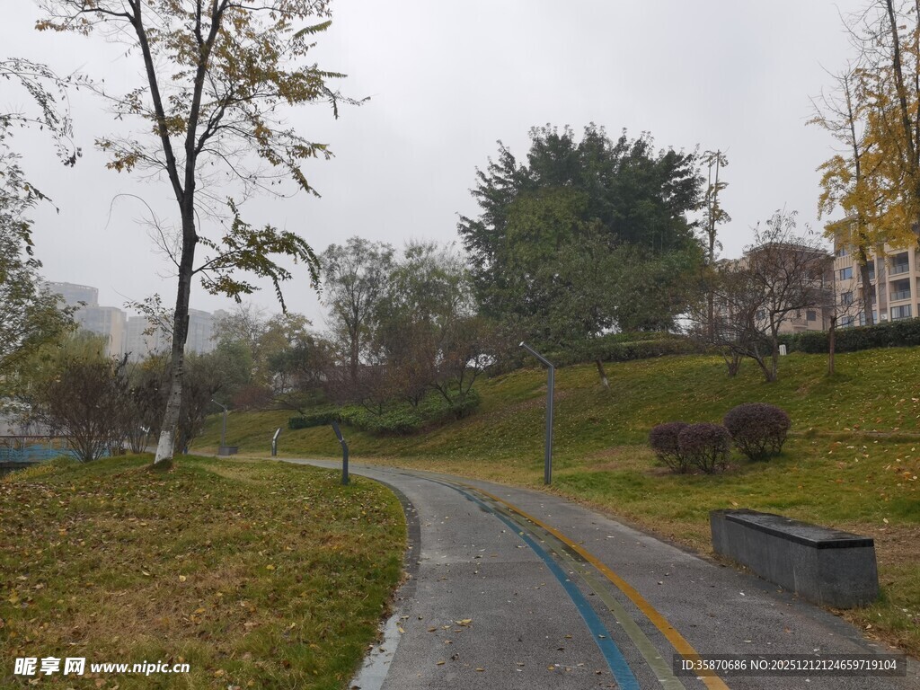 雨中漫步的静谧公园小道