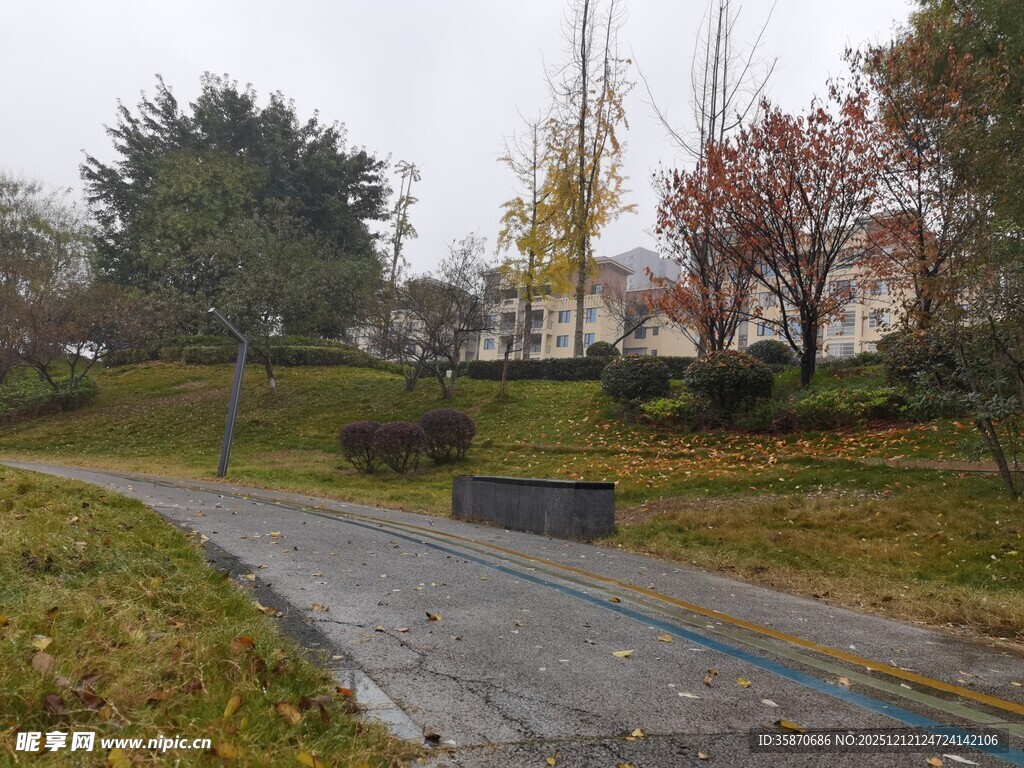 秋日公园的宁静小路