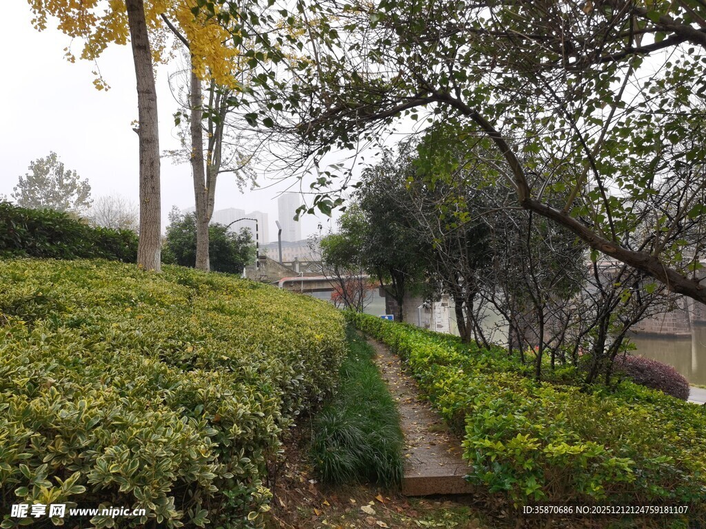 园林小径绿植景观