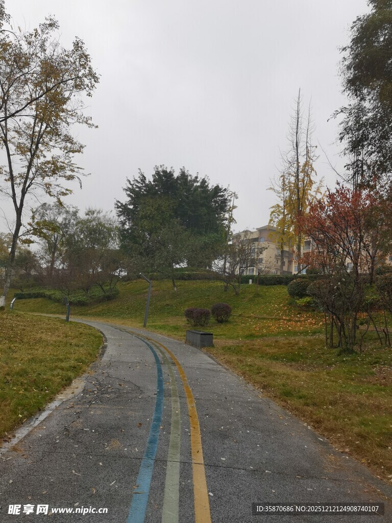 雨中蜿蜒的林间骑行小道