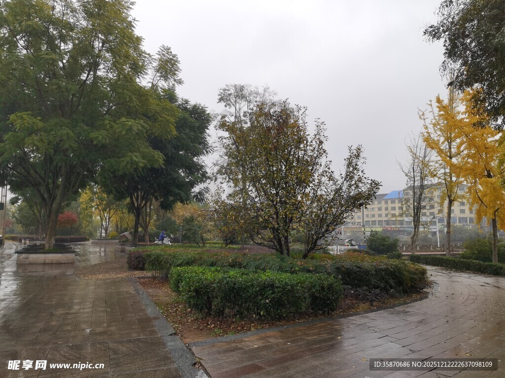雨后公园的静谧景致