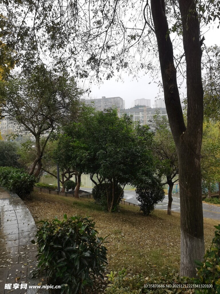 雨中公园景致