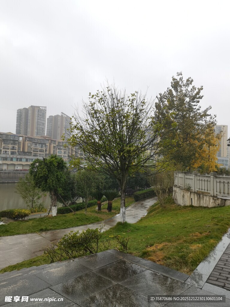 城市中的静谧户外景致