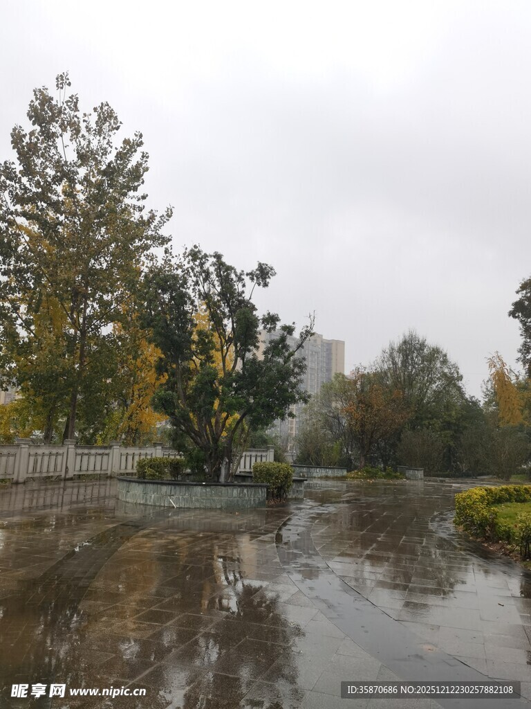 雨后公园景观