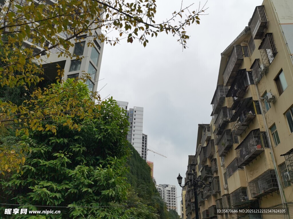 城市中林立的居民楼