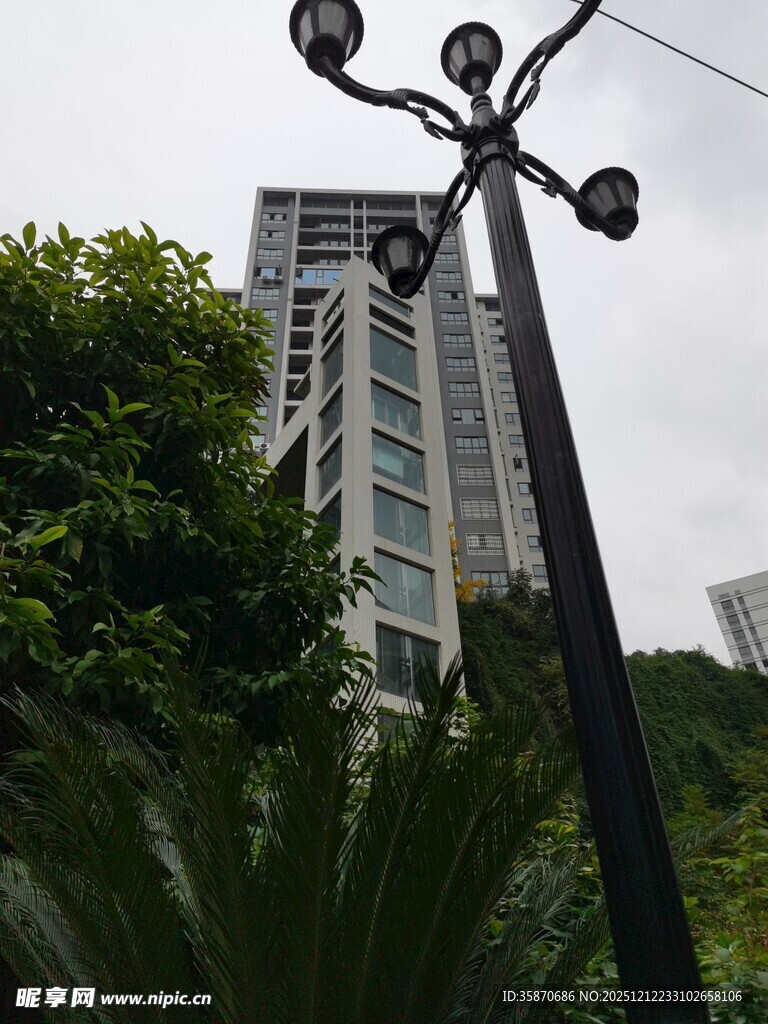 城市中高耸的建筑与路灯