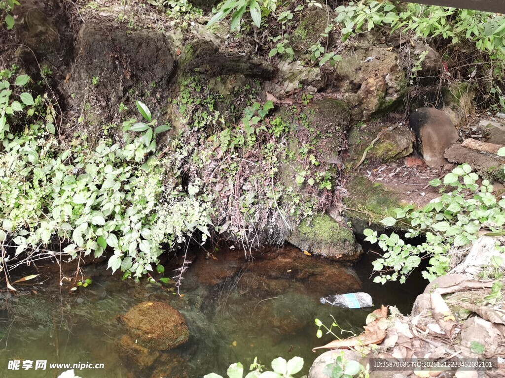 山间清澈小水潭景色