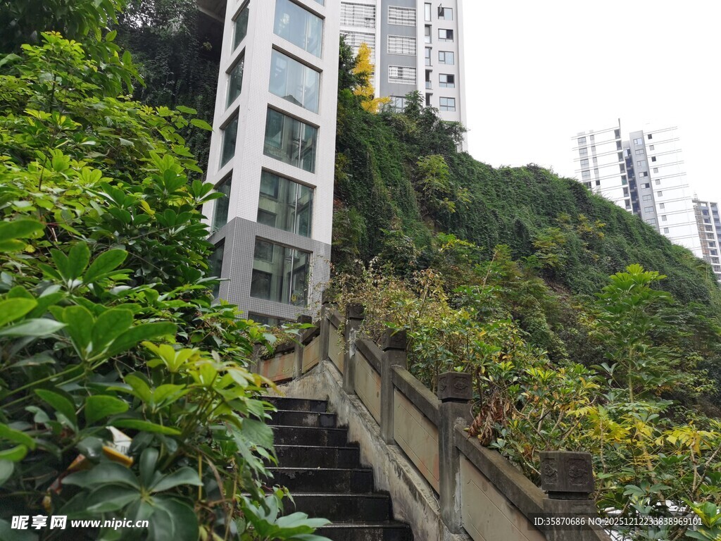 山间电梯与绿植相伴景观