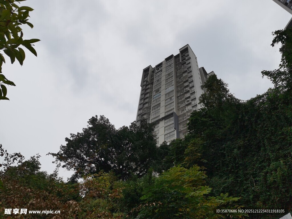 山林间的高耸建筑