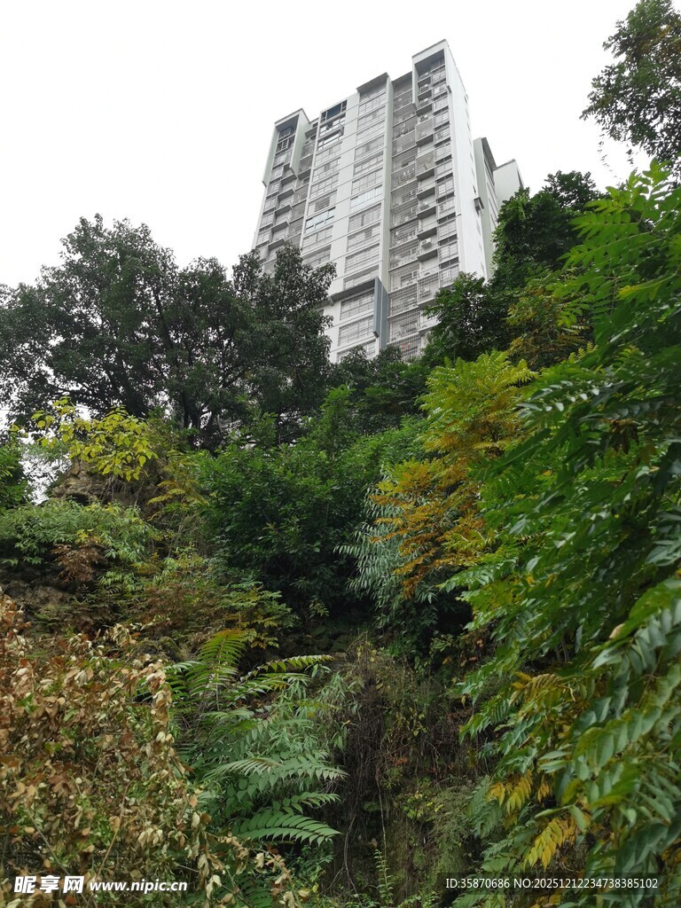 山林间的高层住宅楼