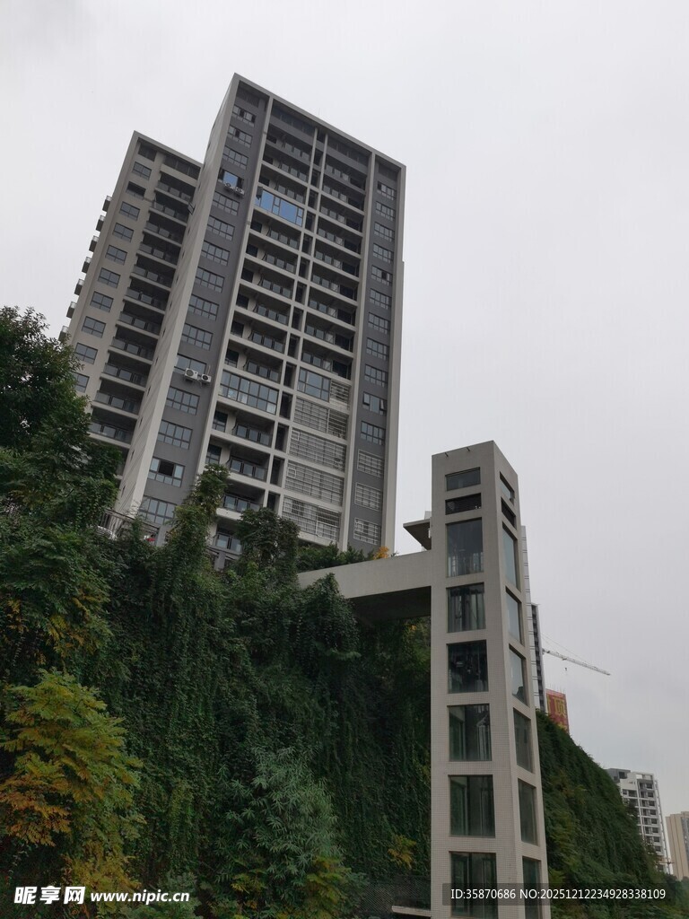 高层住宅与绿植景观