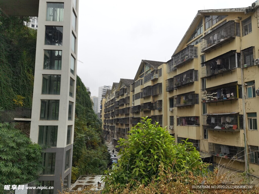 老旧居民楼与绿植景观