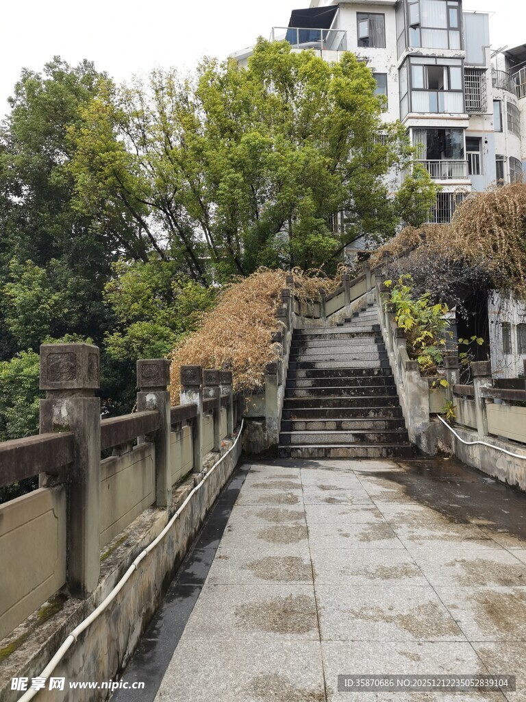 老旧石阶旁的静谧小道