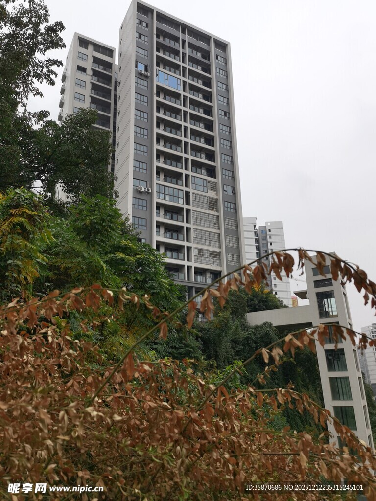高楼旁的绿植景观