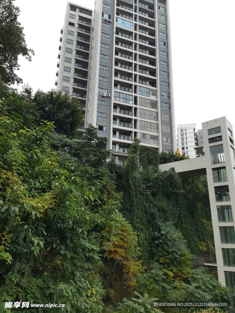 山林间的高层住宅楼