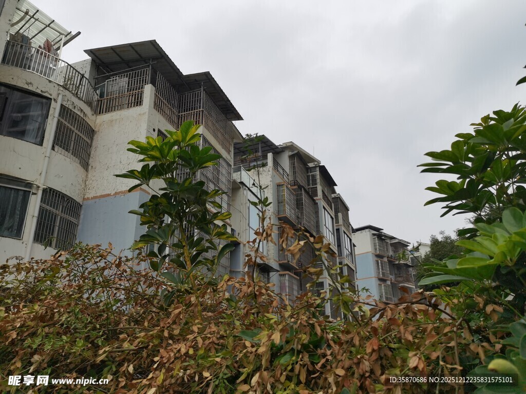 老旧居民楼与周边绿植景观