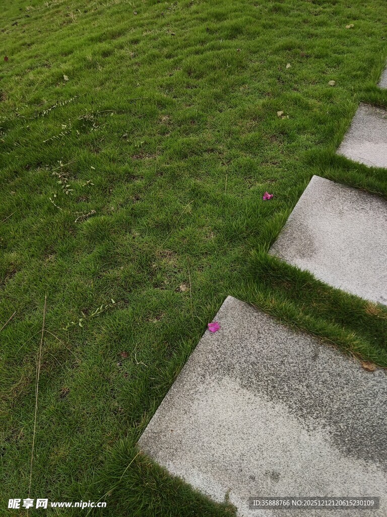 石板小径穿行于绿草地