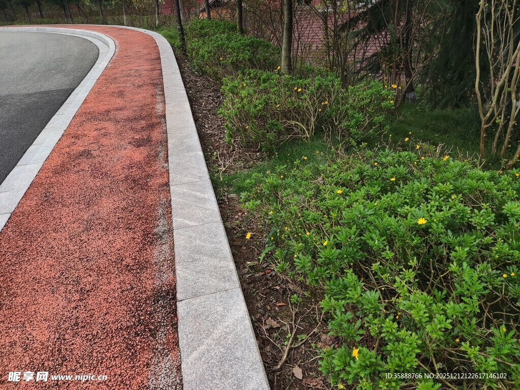 林间彩色步道绿意相伴