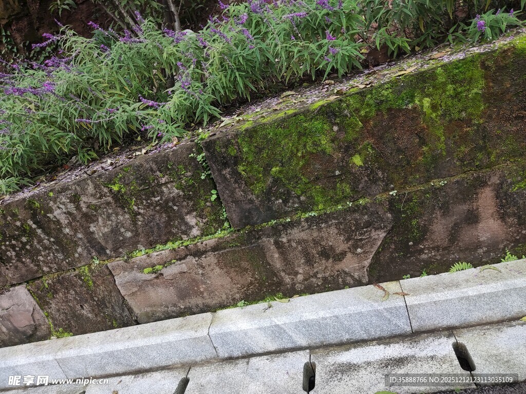 石墙旁的绿植与休憩长椅