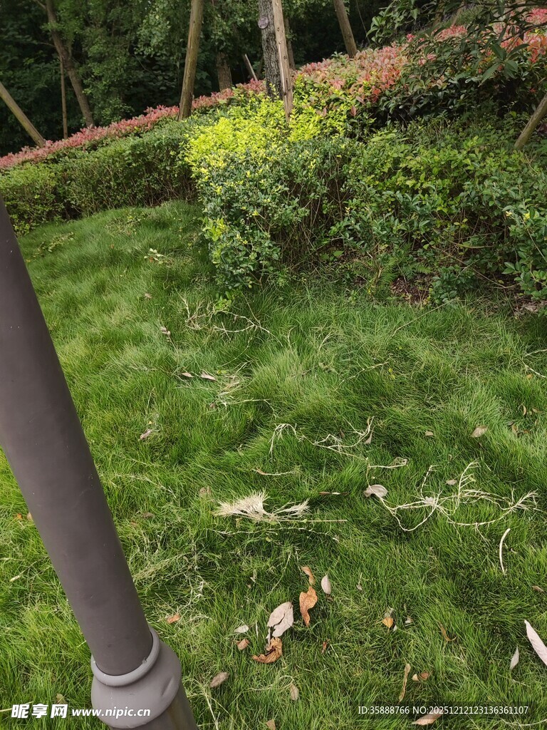 户外草地中的金属杆