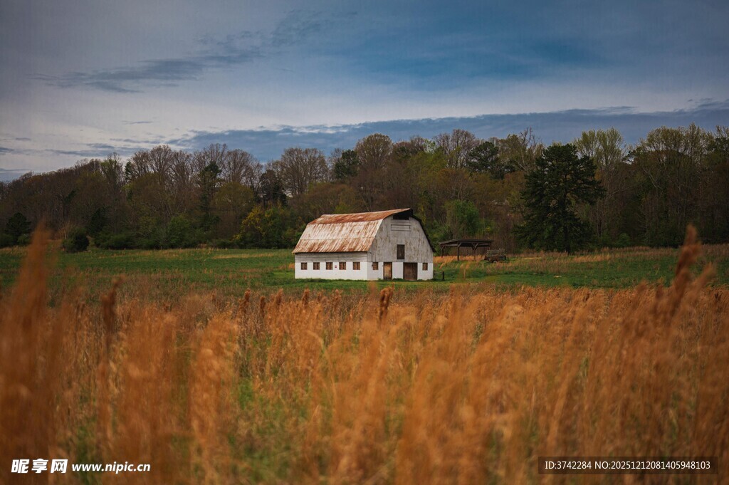田野中的古朴白色谷仓