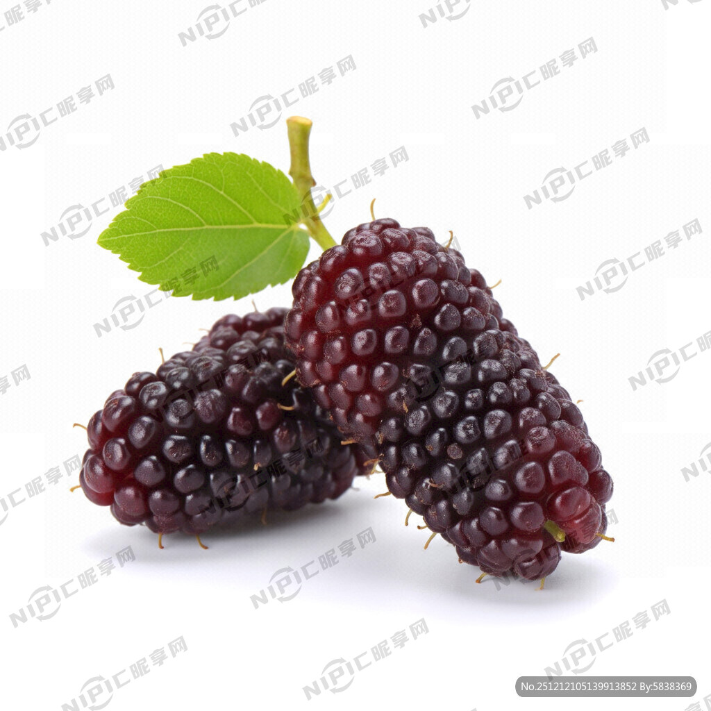 生成一张桑葚图片 有两颗桑葚