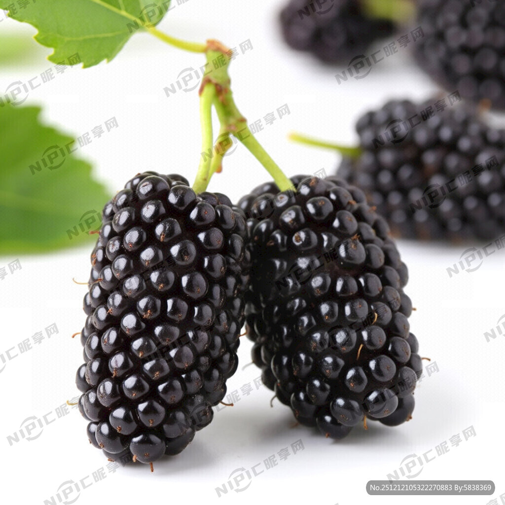 生成一张桑葚图片 有两颗桑葚