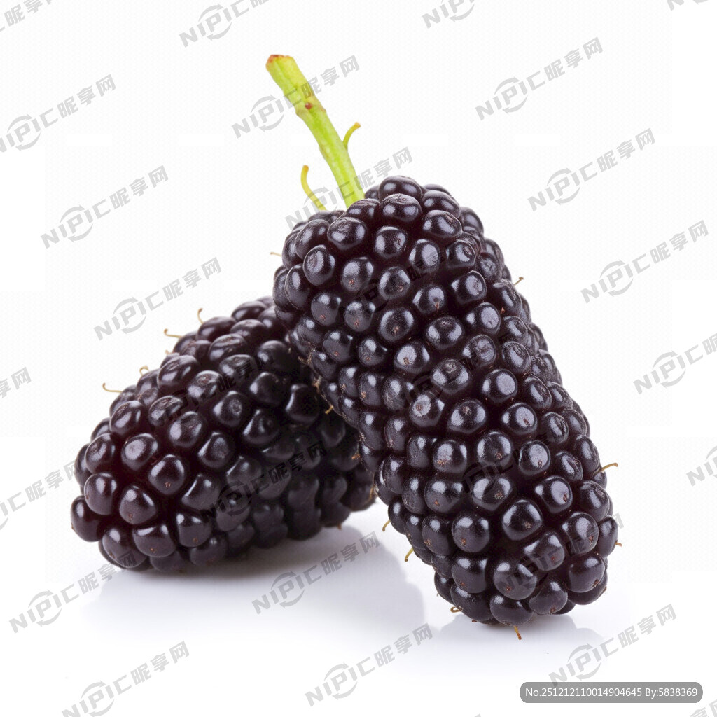 生成一张桑葚图片 有两颗桑葚