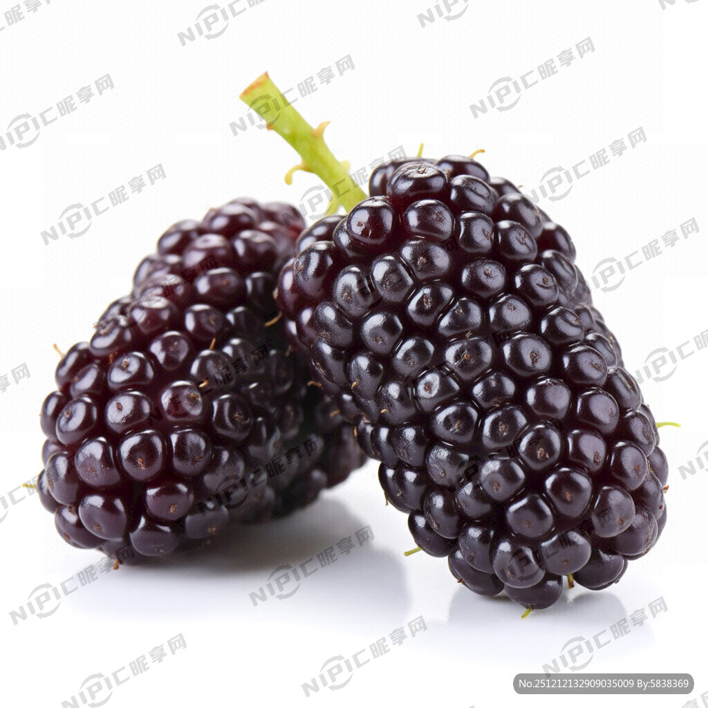 生成一张桑葚图片 有两颗桑葚